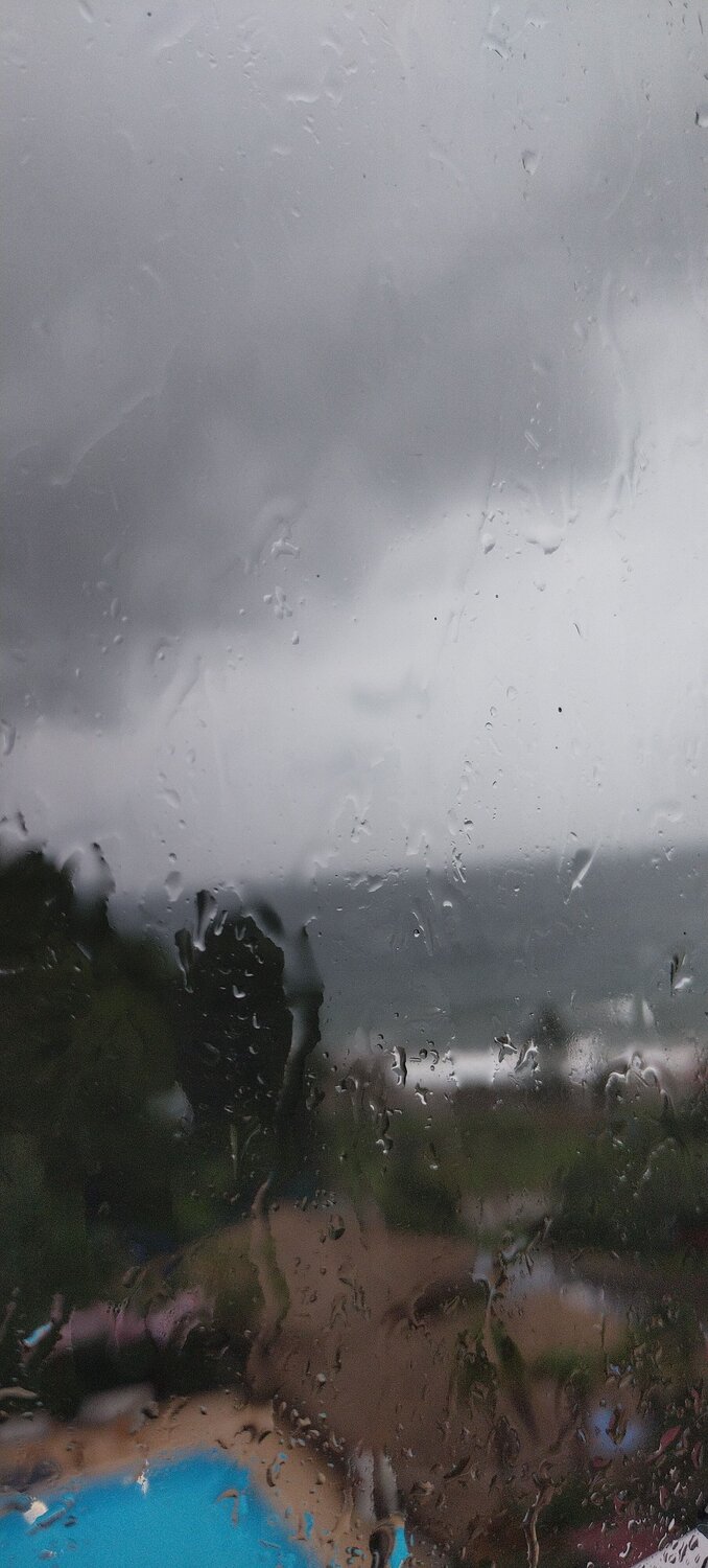 Photo #14072814
