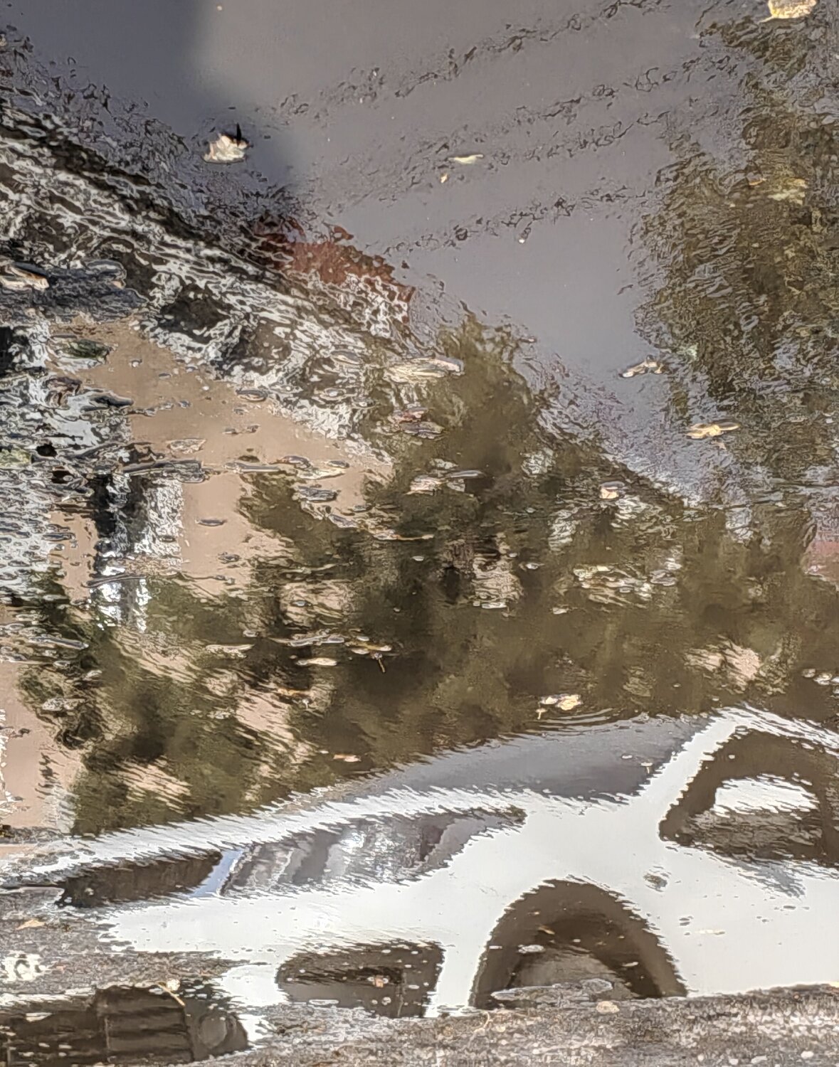 Photo #14072831