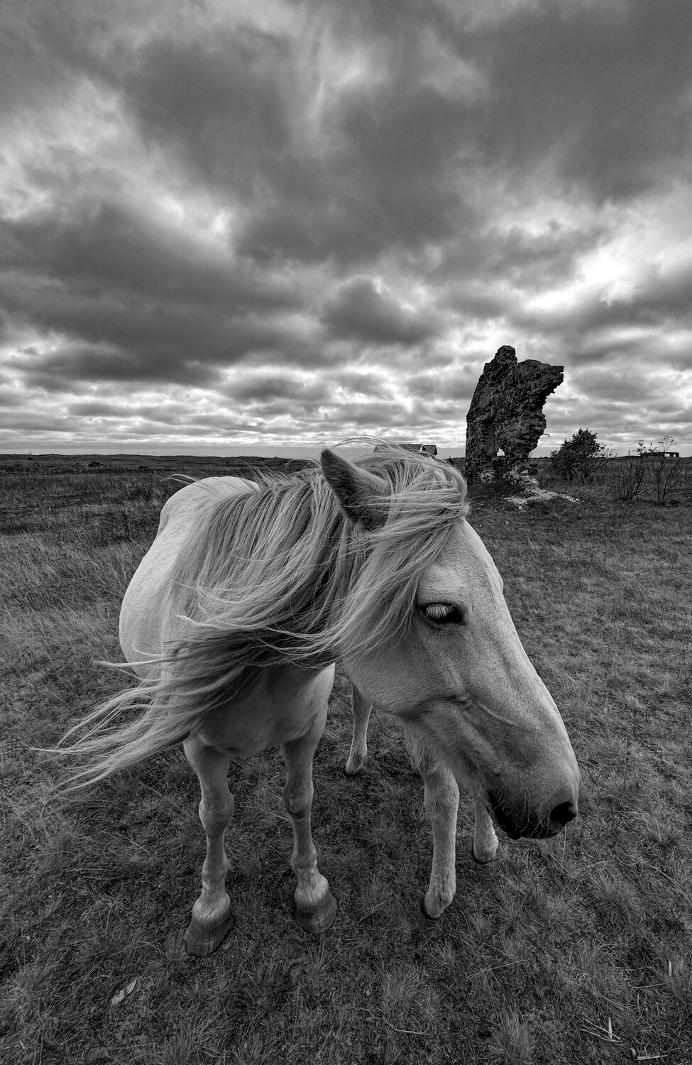 Photo #14072892