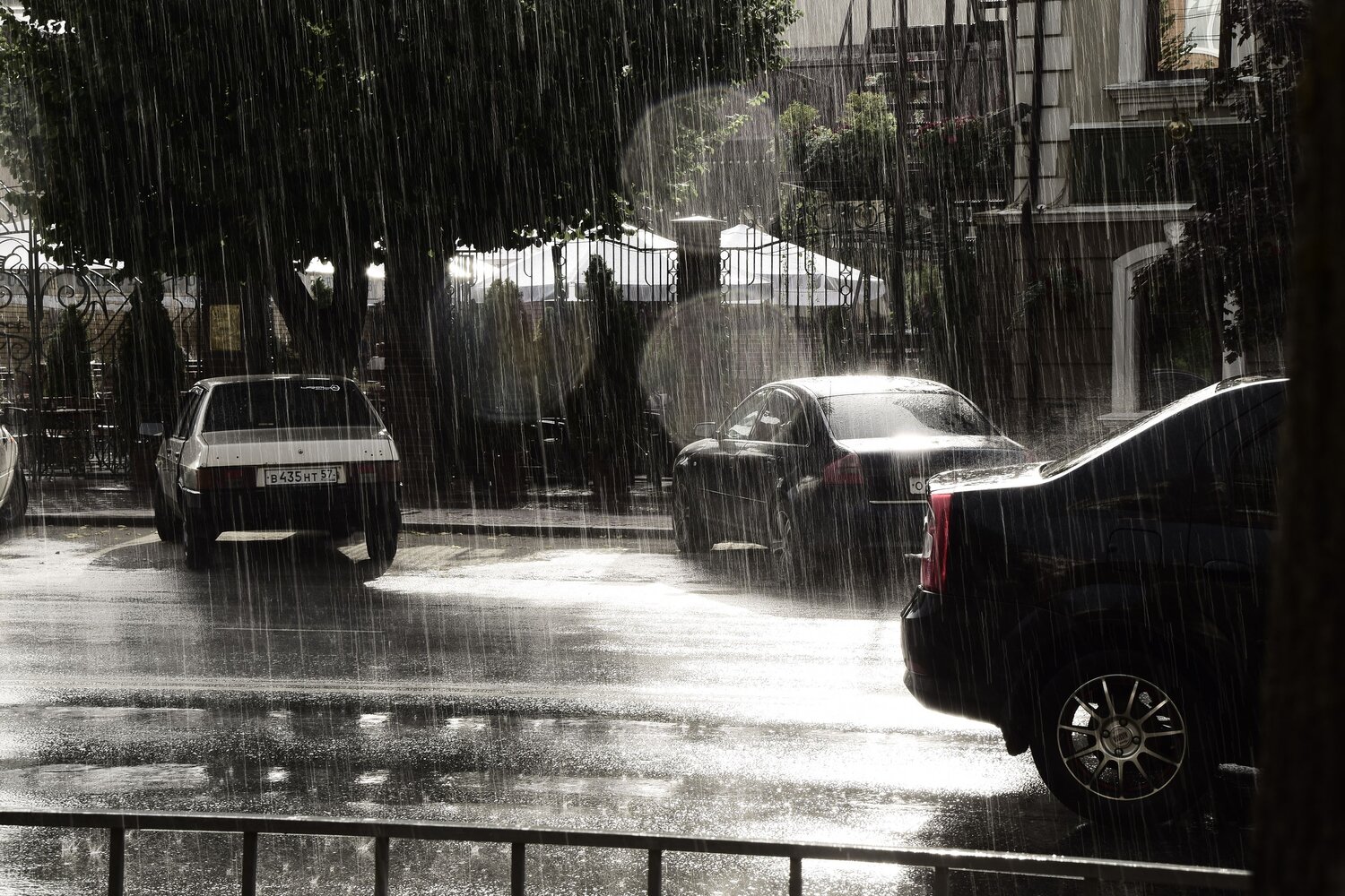 Photo #14072924