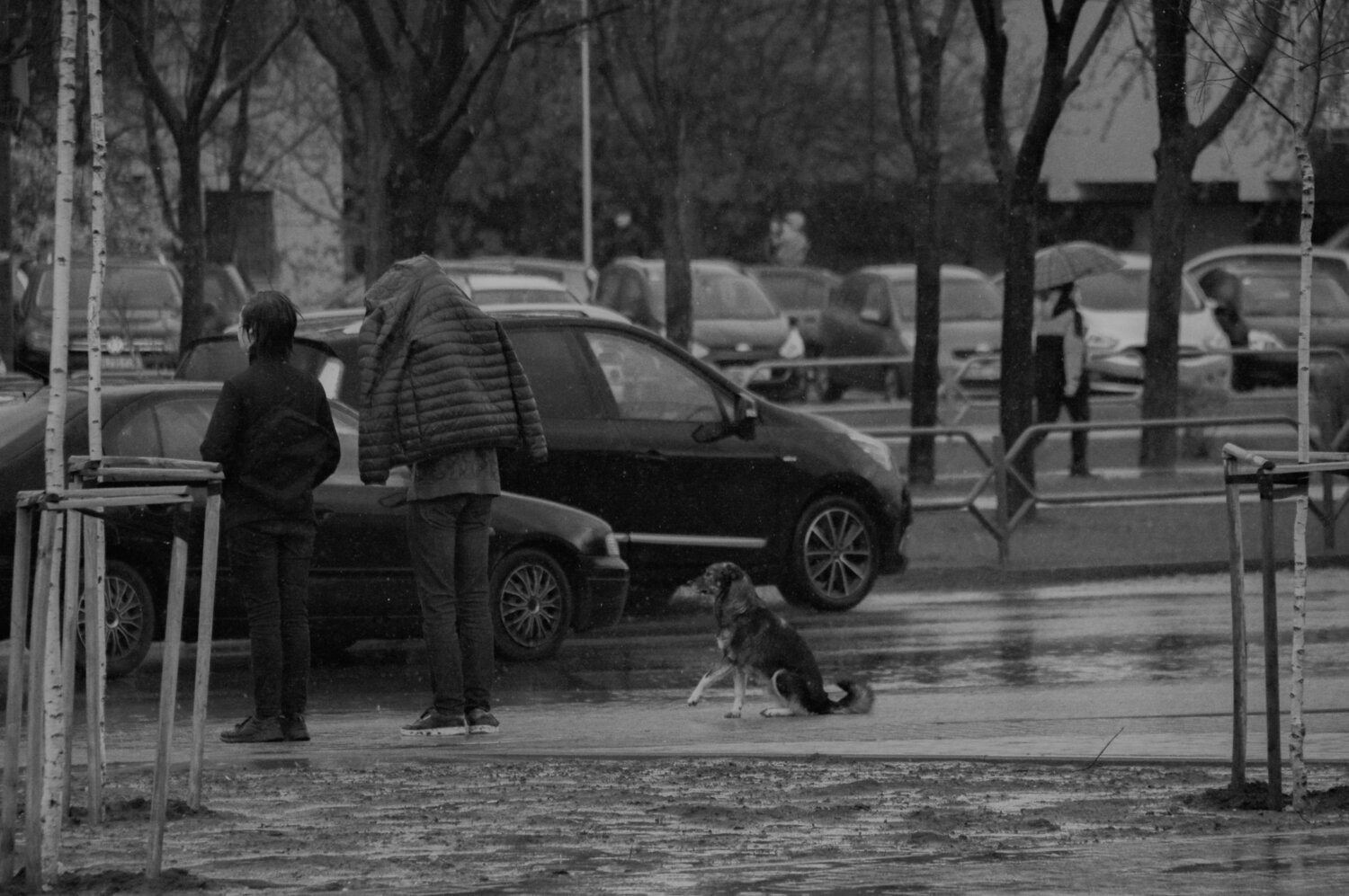 Photo #14072938