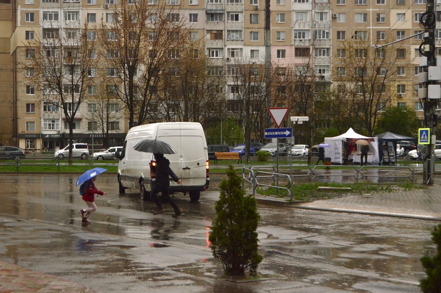 Photo #14072944