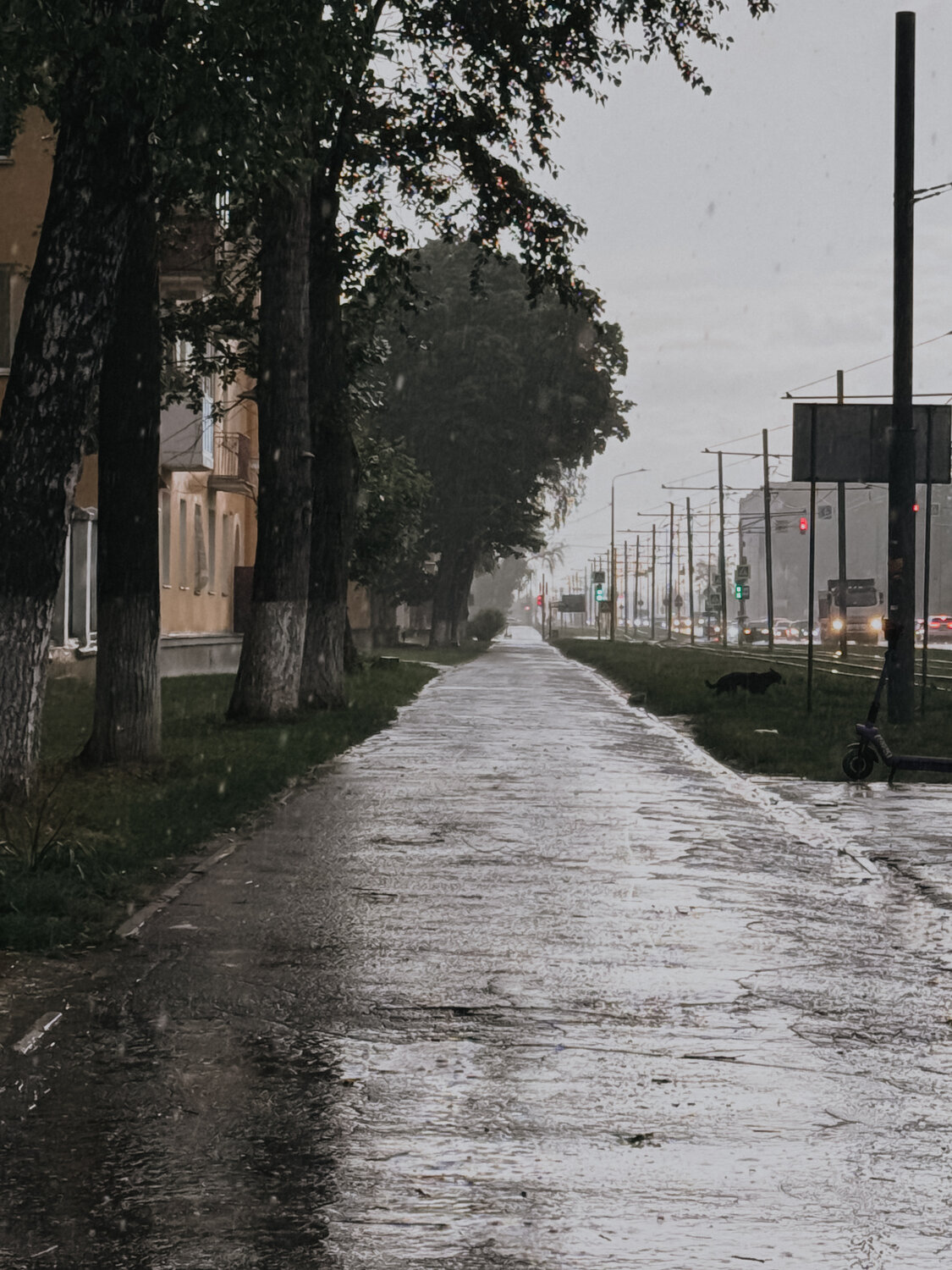 Photo #14072979