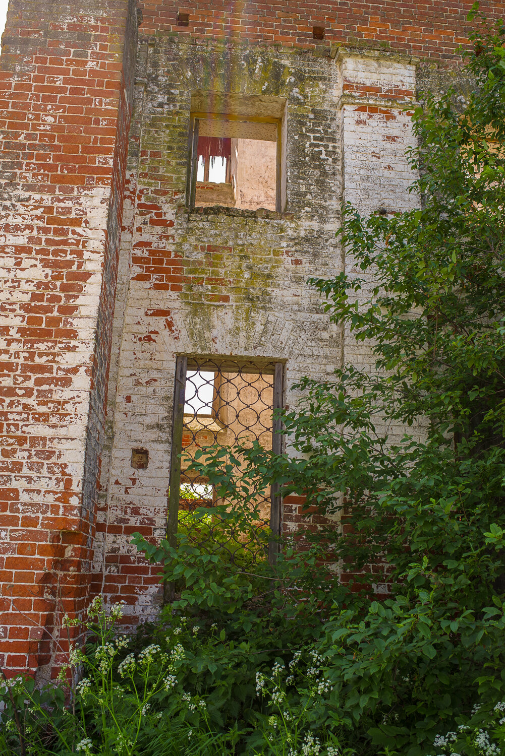 Photo #14073052