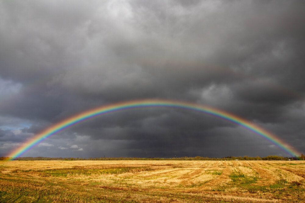 Photograph by Андрей Лесников