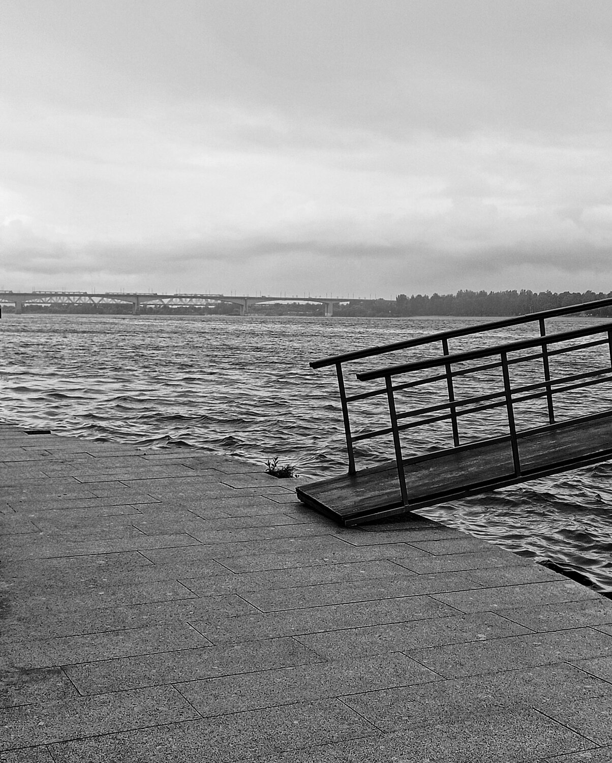 Photo #14073204