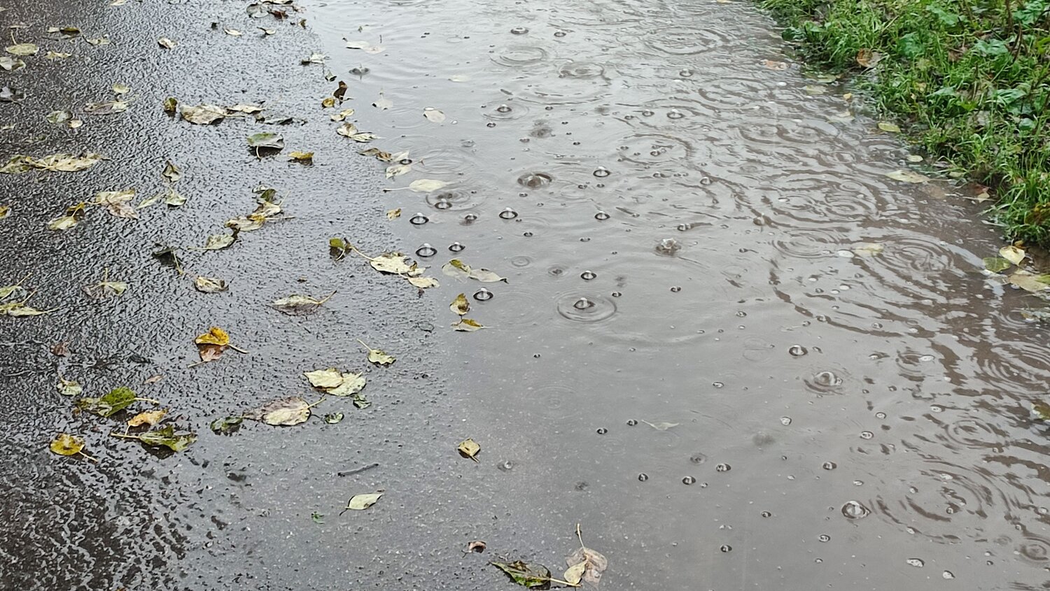 Photo #14073214