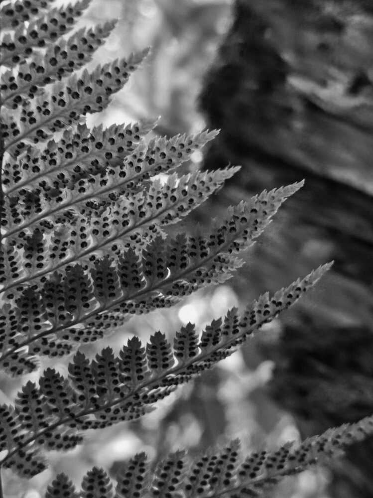 Photo #14073223