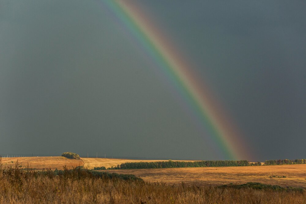 Фотография автора Елена