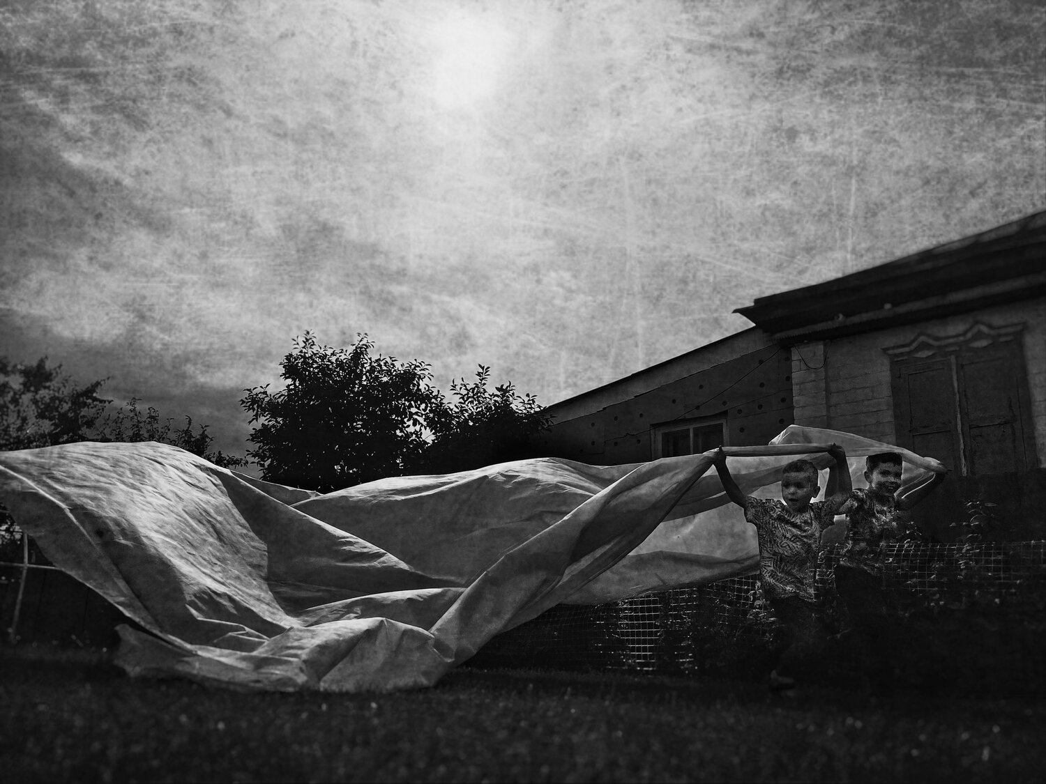 Photo #14073261