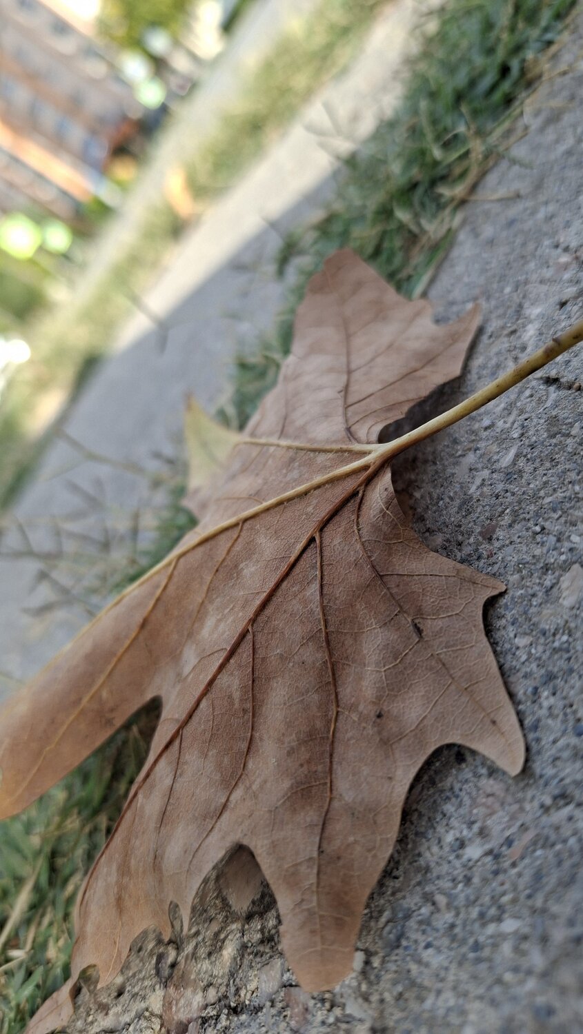 Photo #14073368