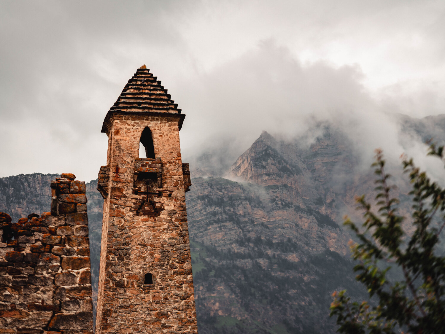 Photo #14073385