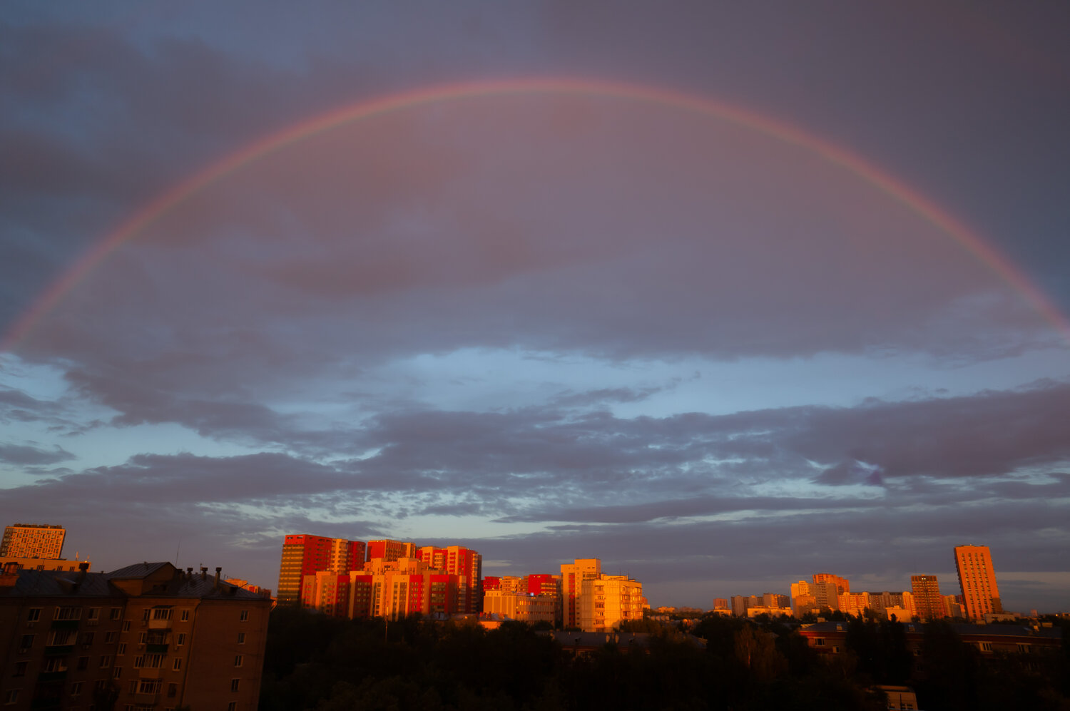 Photo #14073527