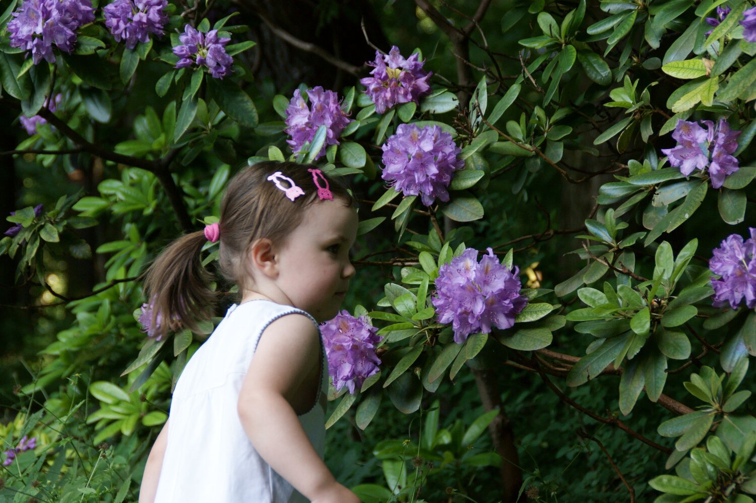 Photo #14073780