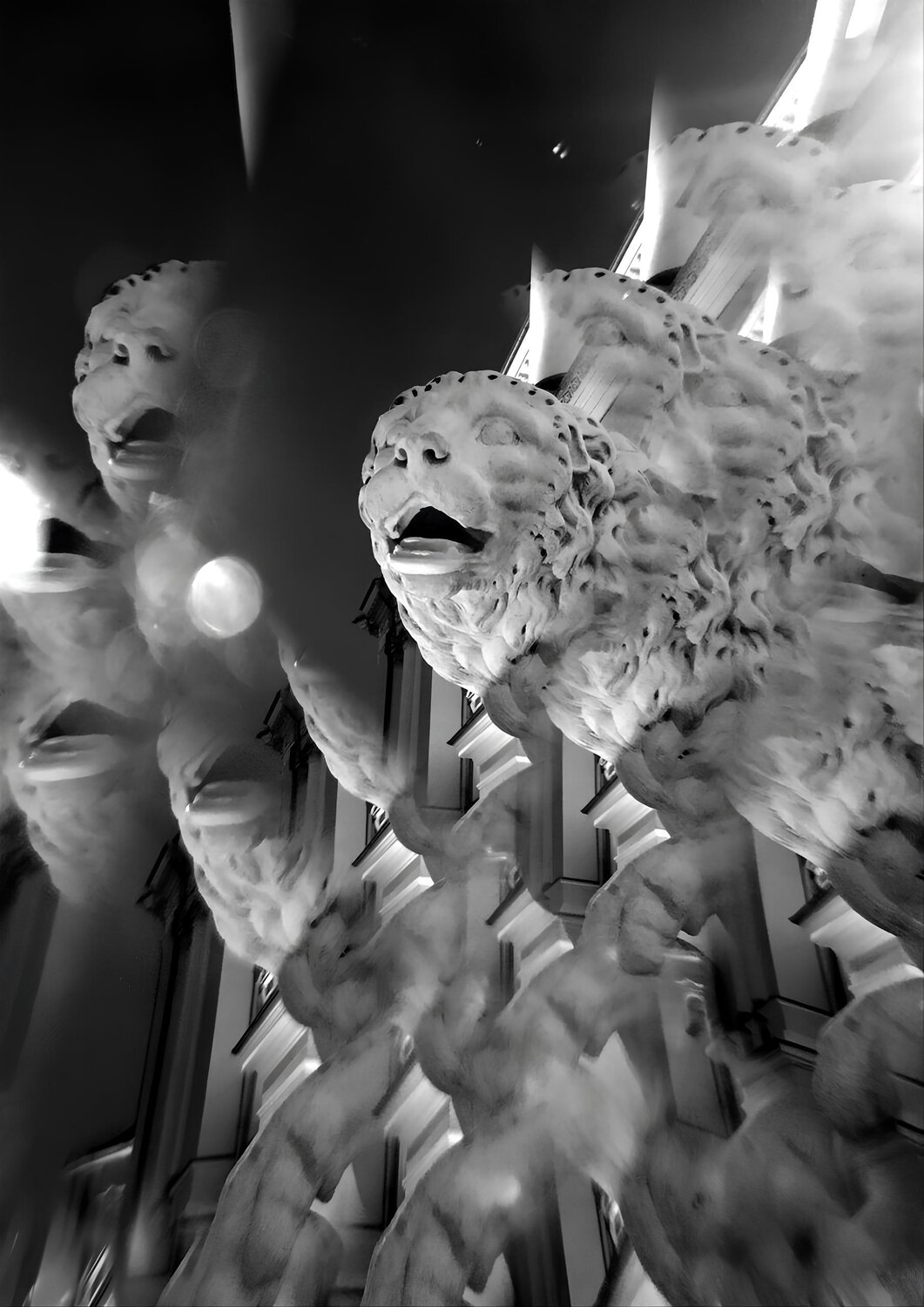 Photo #14073786