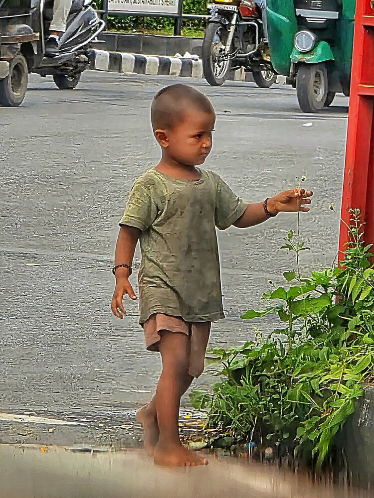 रास्ते का फूल