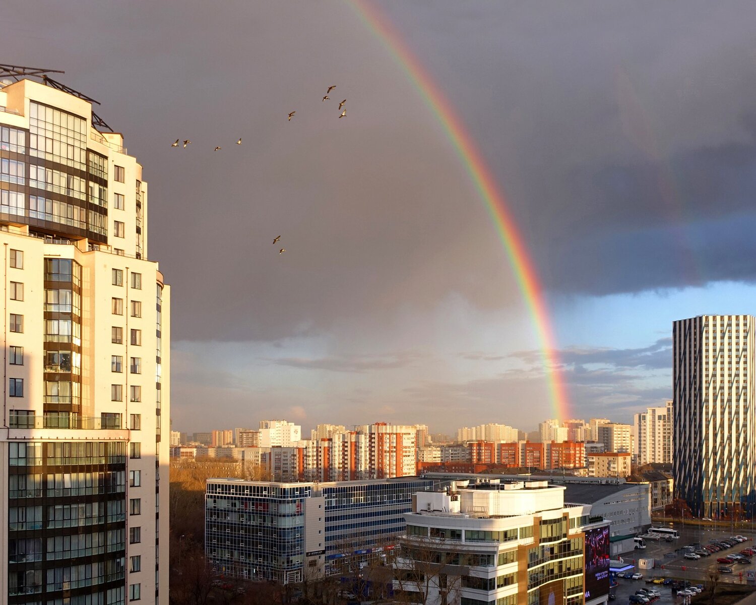В  РАЗНОЦВЕТНОЙ  ДУГЕ…