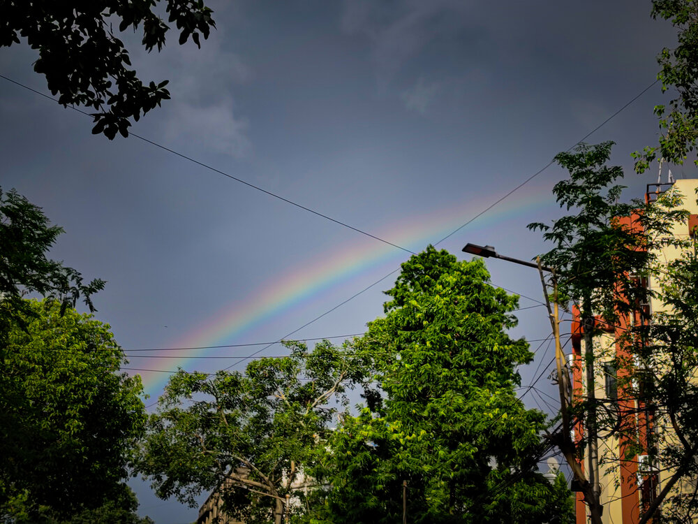 Photograph by Anubhav Bhattacharjee