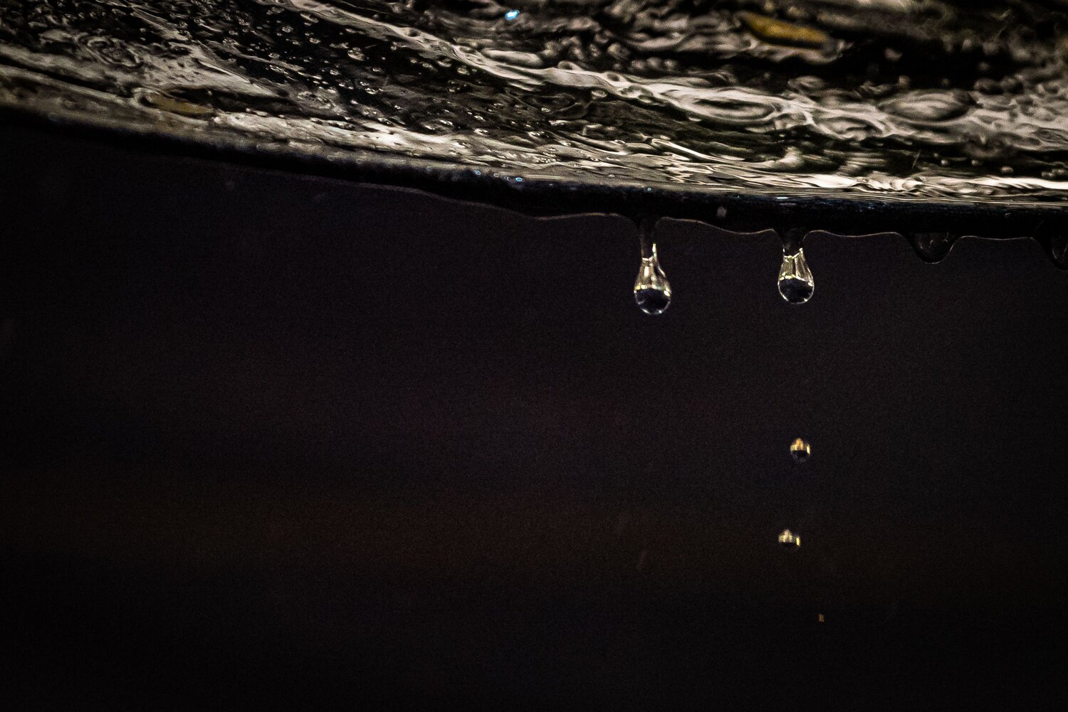 Photo #14073916