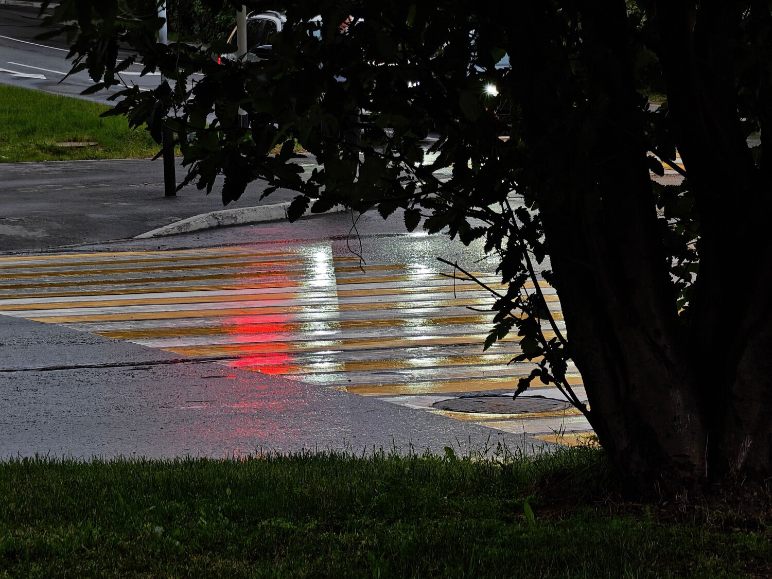 Photo #14074024