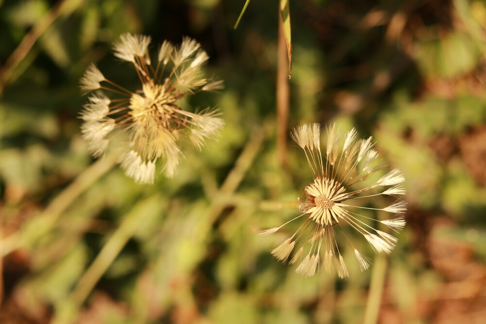 Photo #14074096