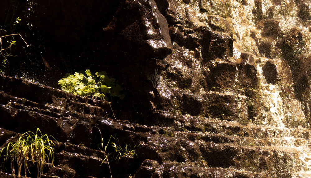 Wet Rocks under the waterfall