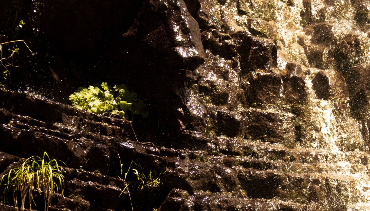Wet Rocks under the waterfall