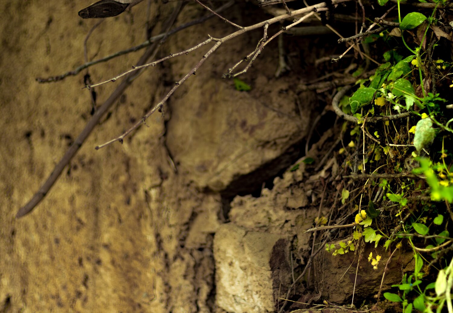 Photo #14074099