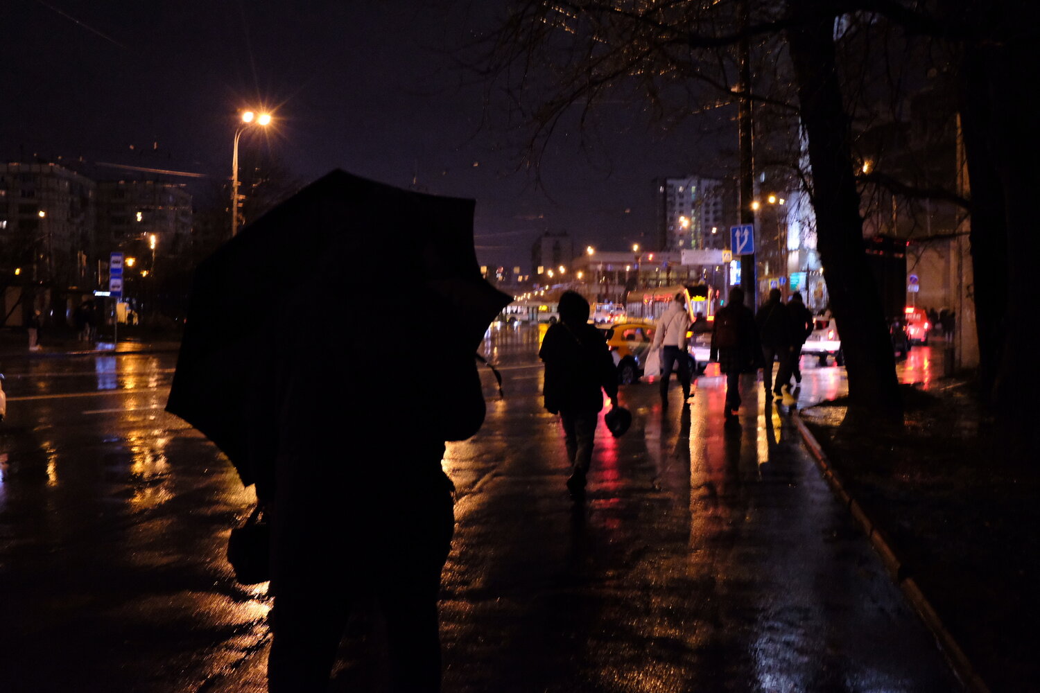 Photo #14074314