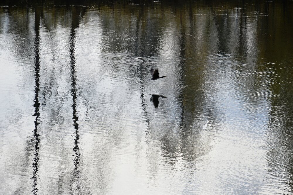 Photo #14074410