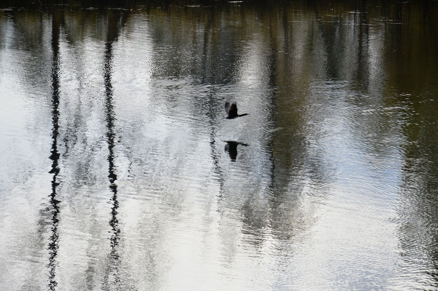 Photo #14074410