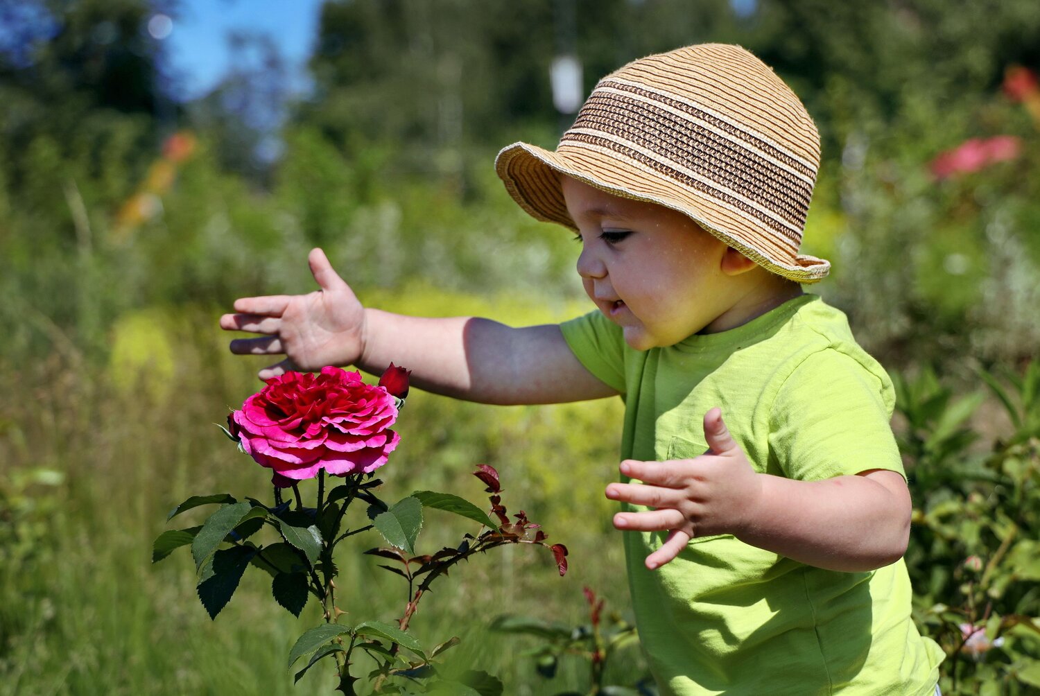 Photo #14074425