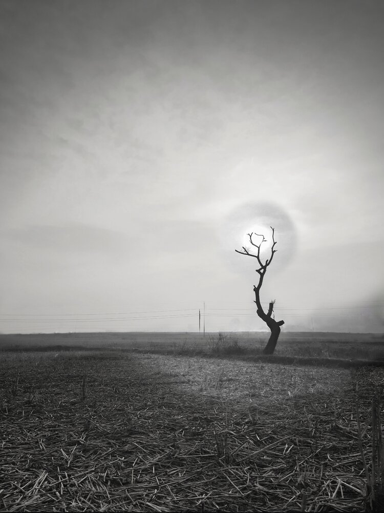 The Last Witness