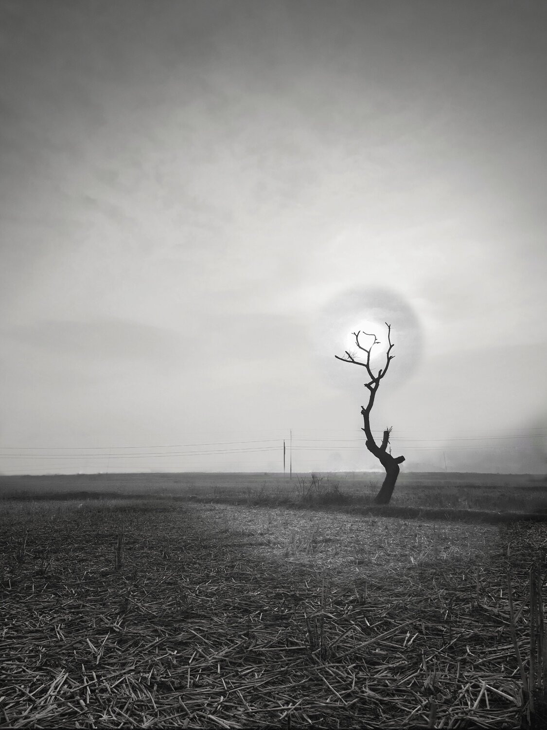 The Last Witness