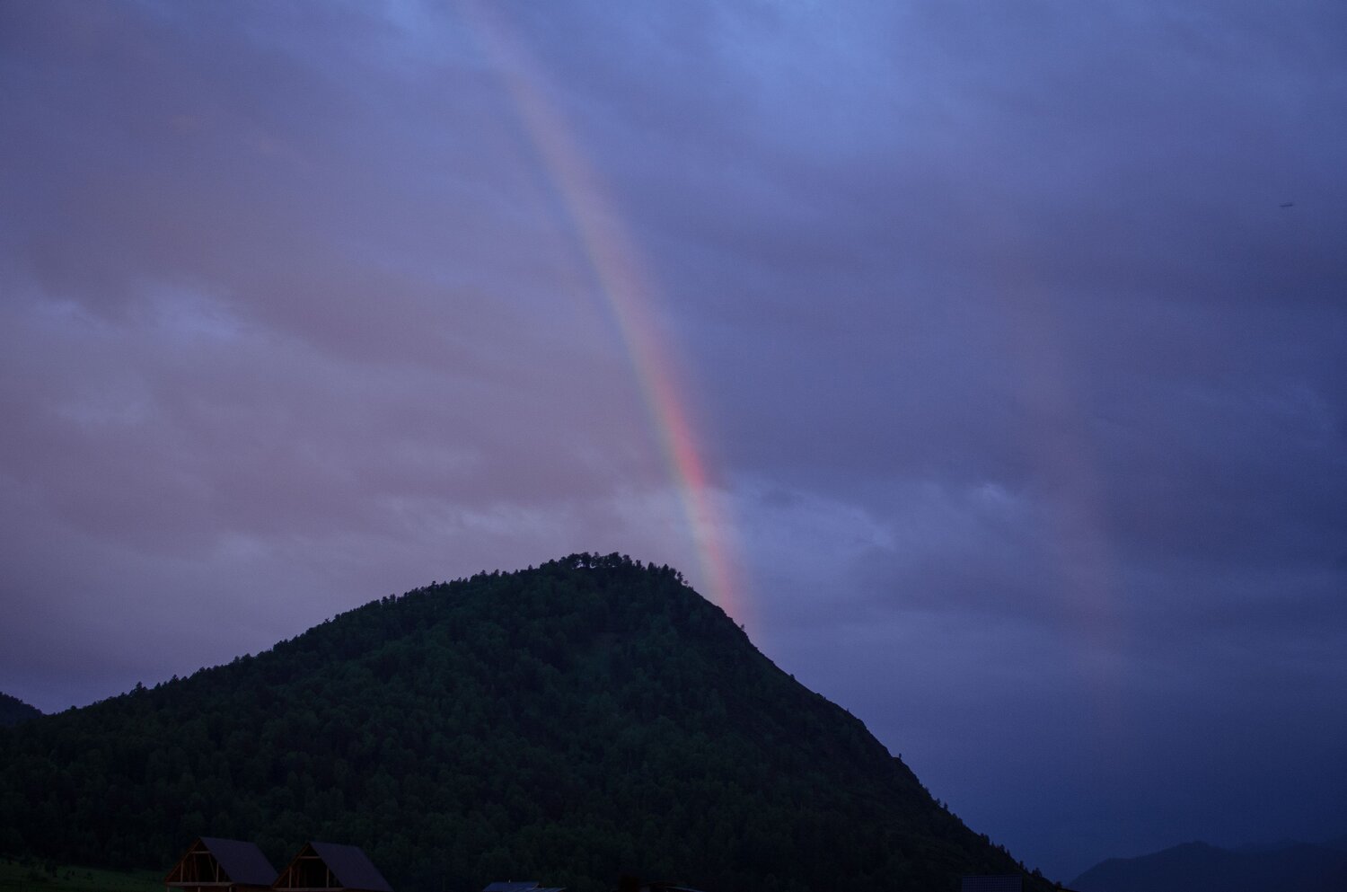 Photo #14074434
