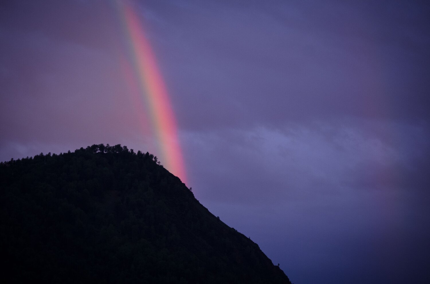Photo #14074435