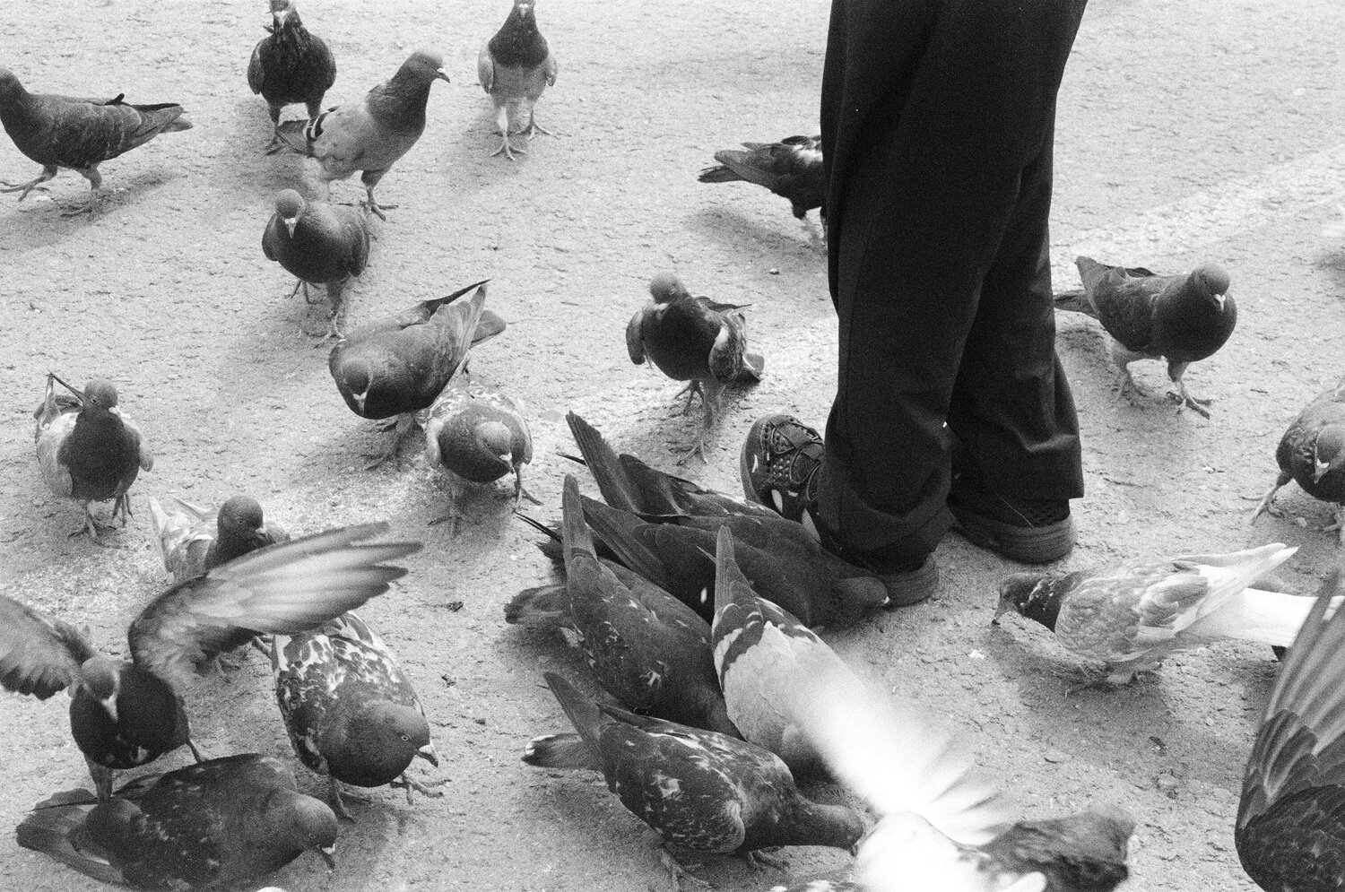 Photo #14074492