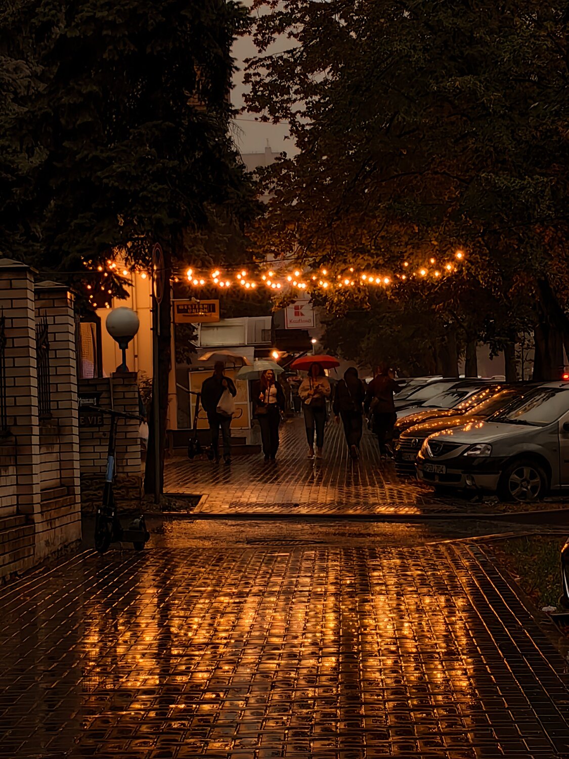 Photo #14074494