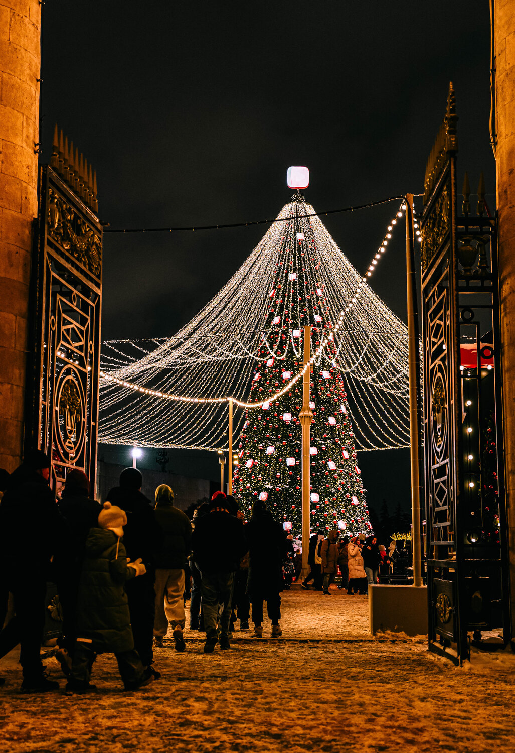 Photo #14074549