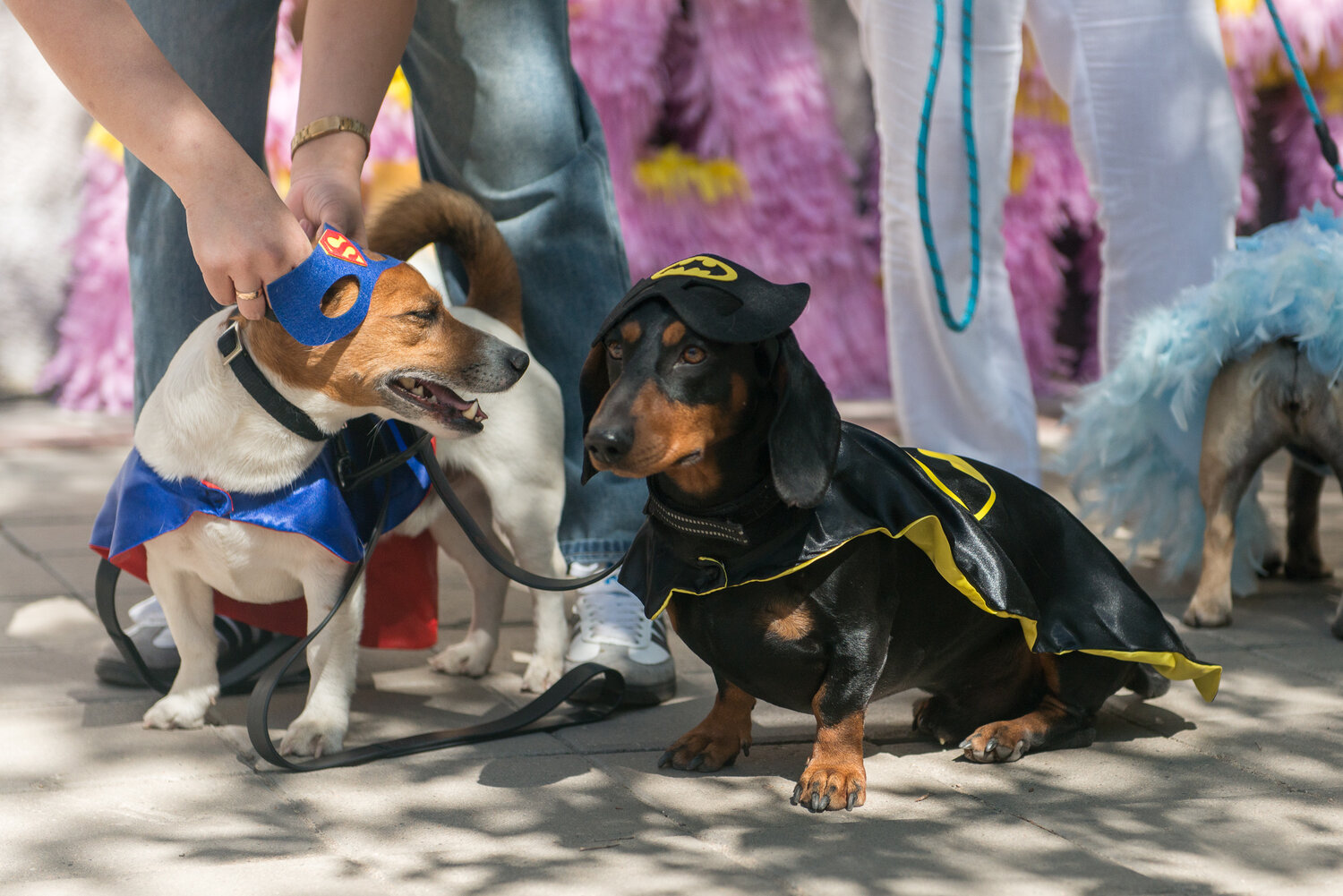 Photo #14074559