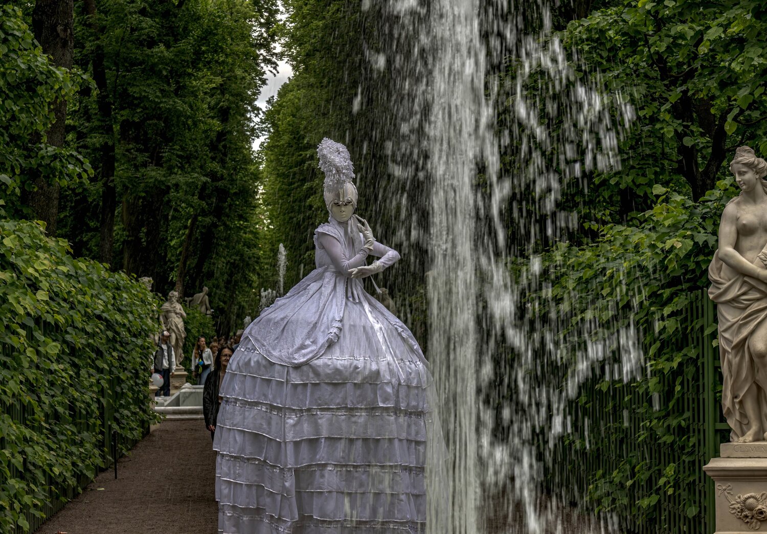 Photo #14074562