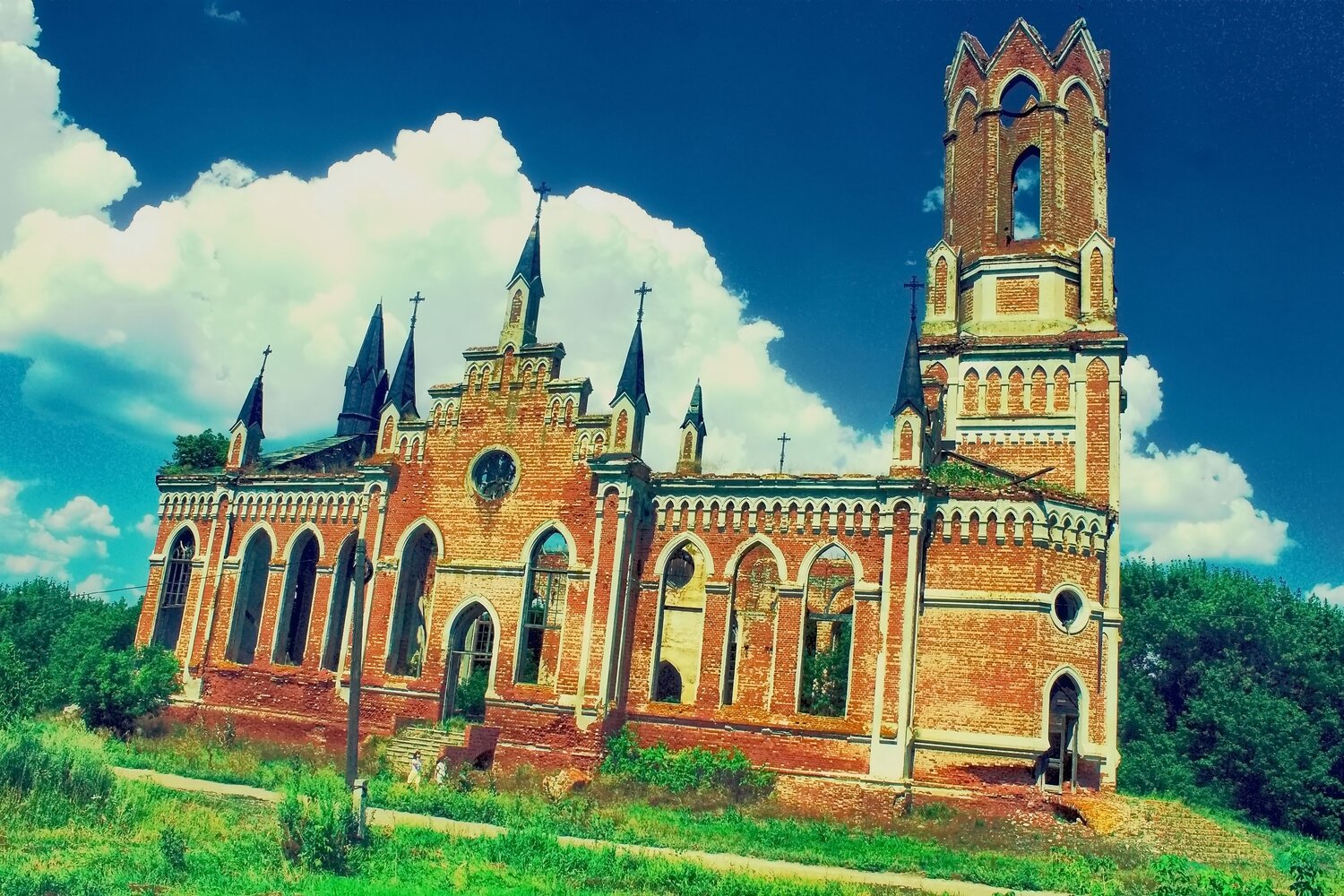 Photo #14074690