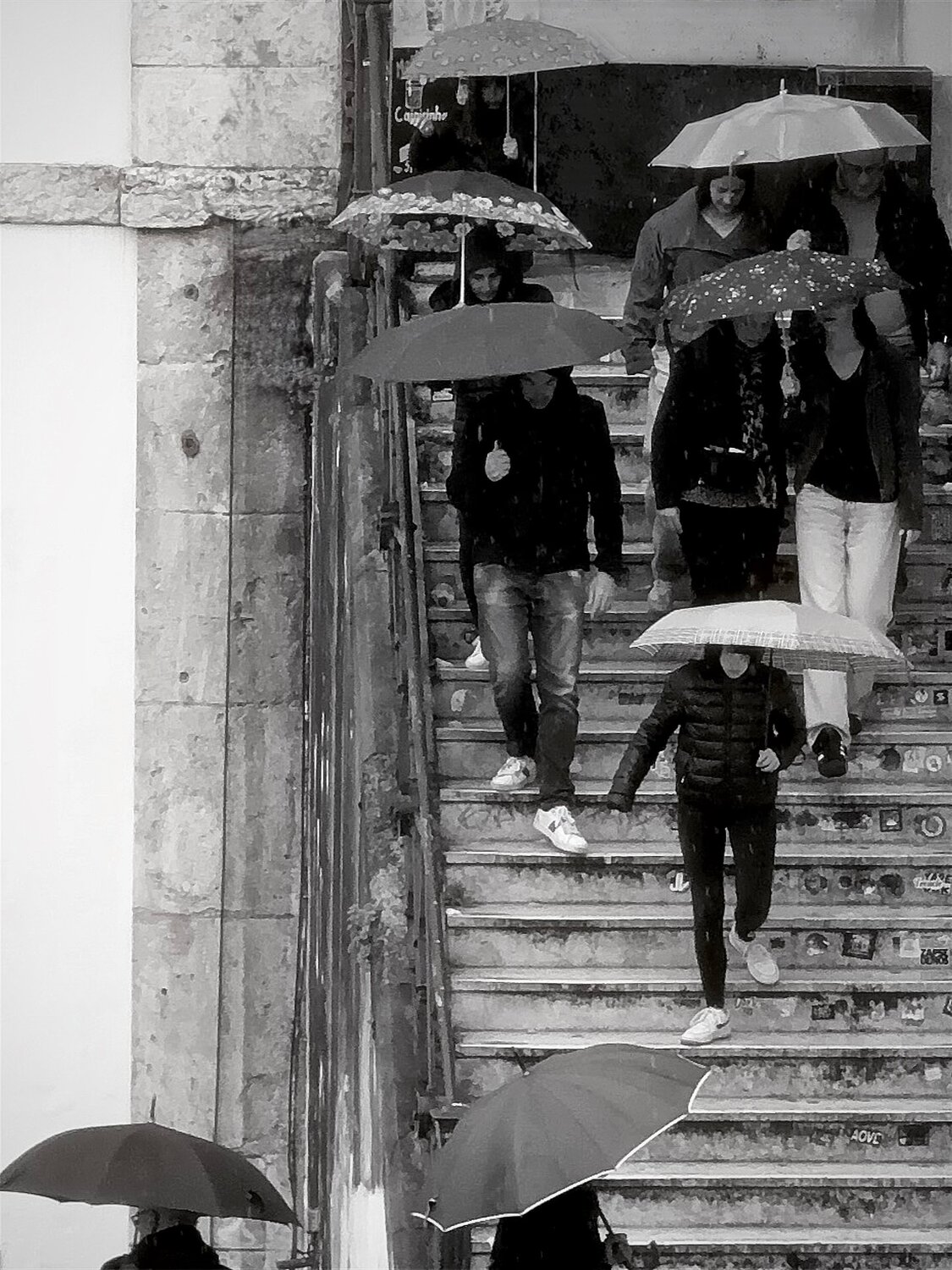 Photo #14074736