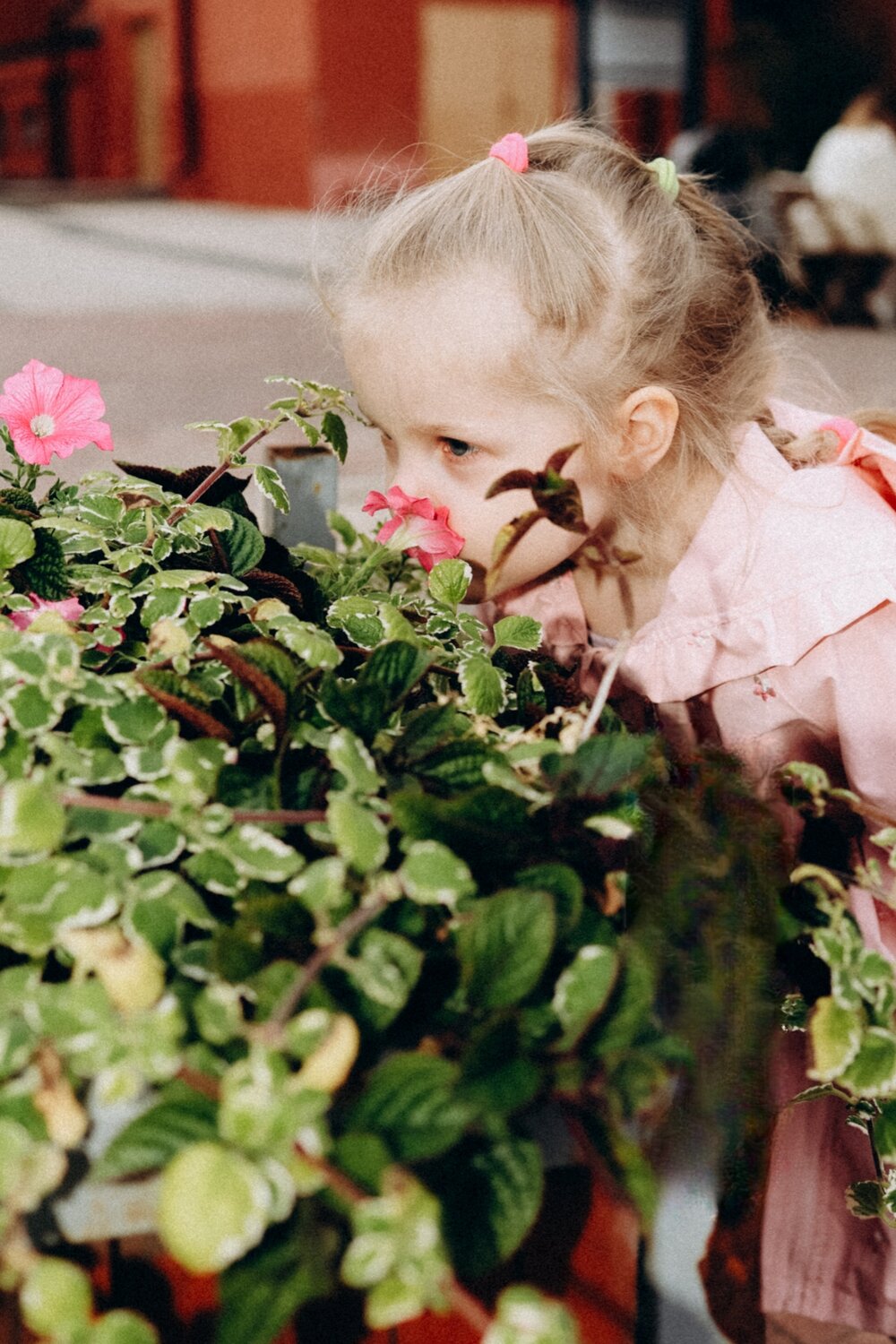 Photo #14074766