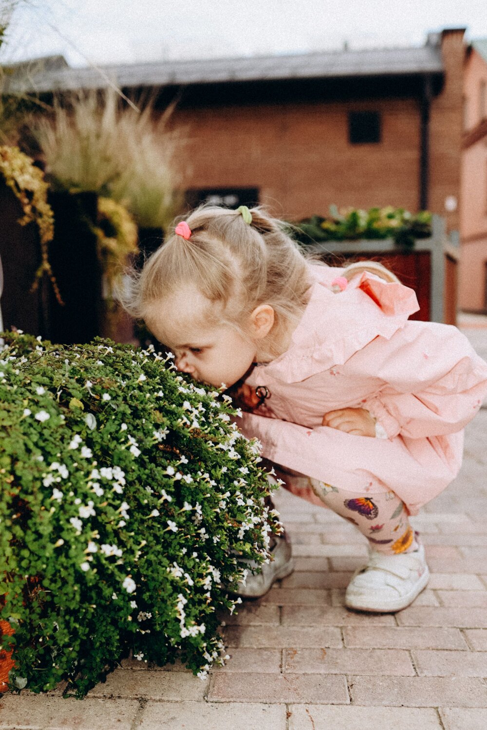 Photo #14074770