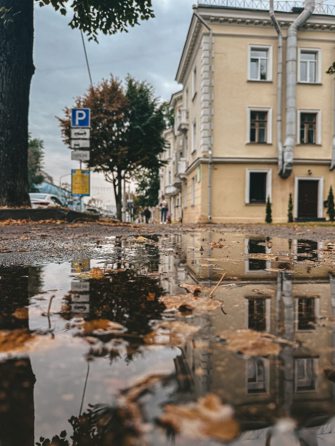 Photo #14074771