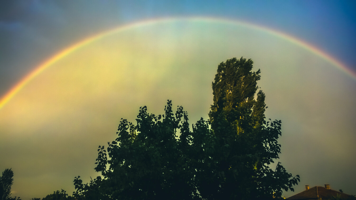 Photo #14074792