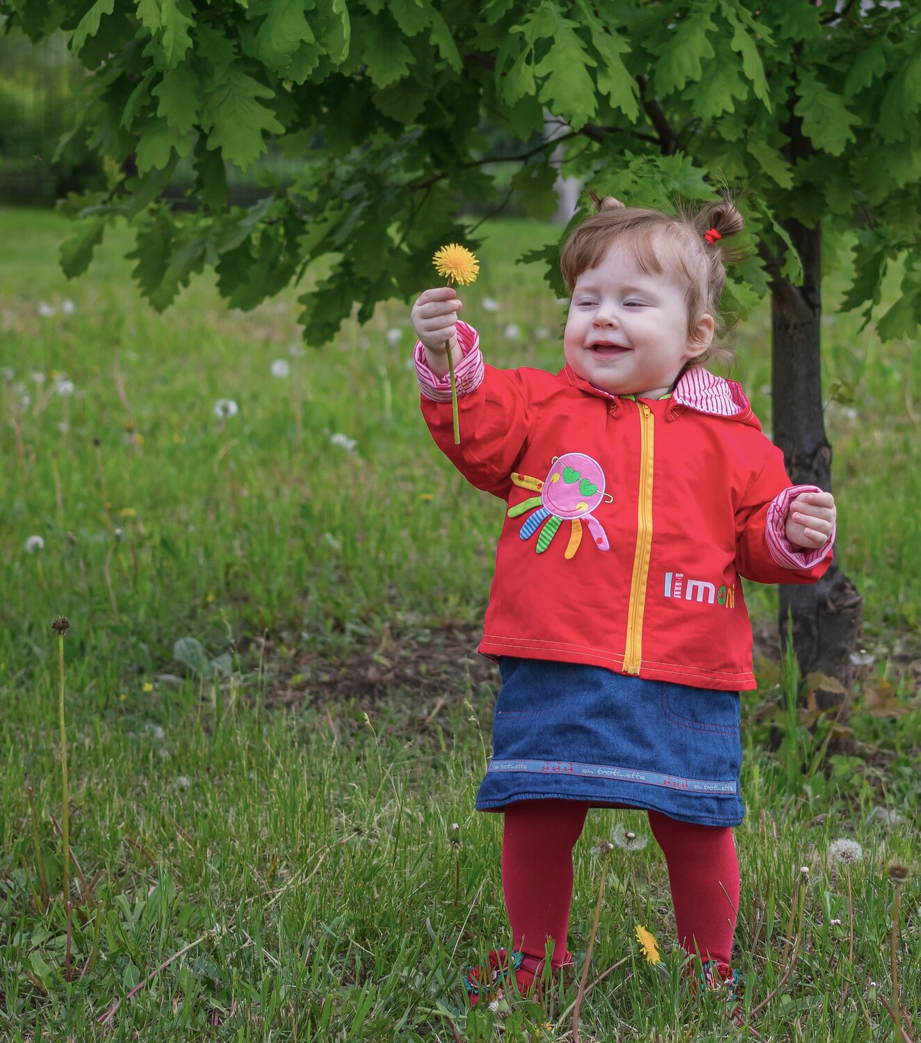 Photo #14074833