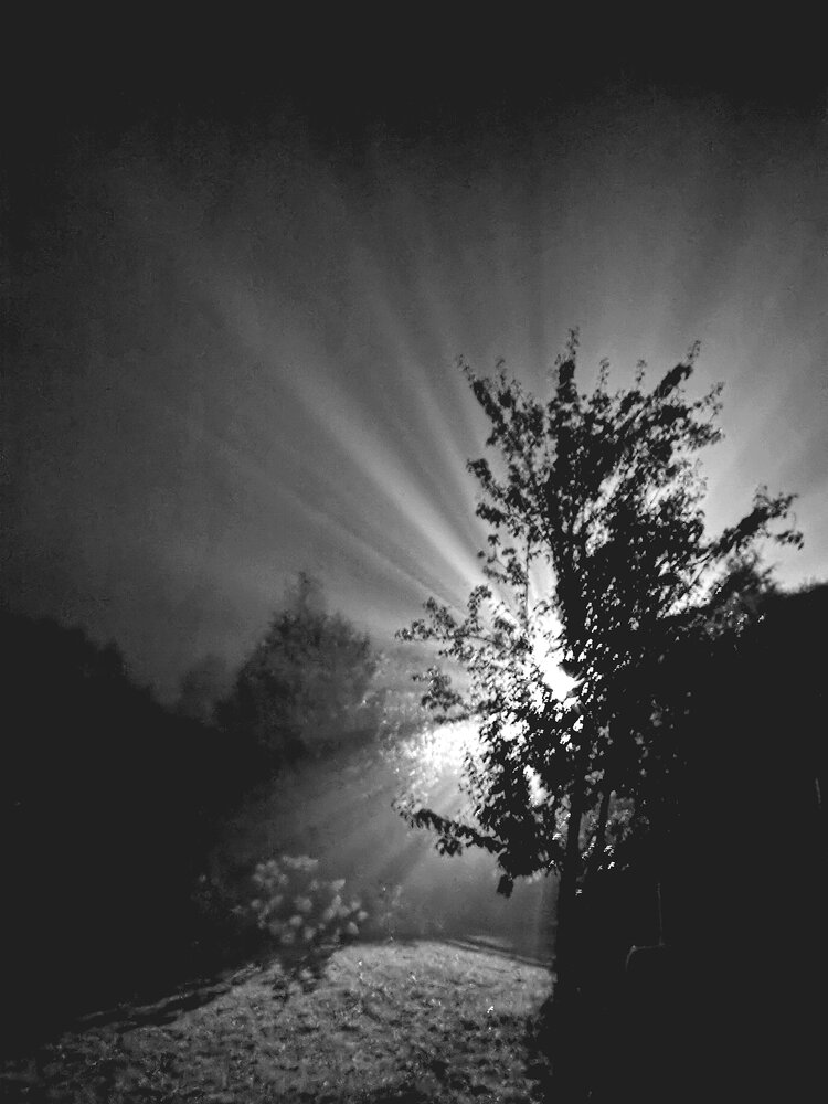 Photograph by Ольга