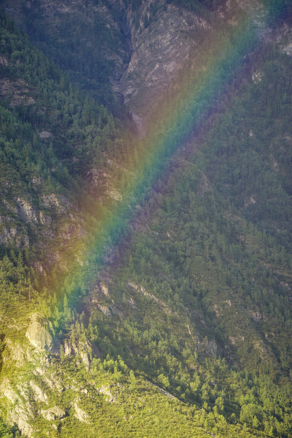 Photo #14074878